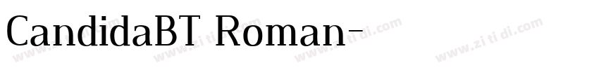 CandidaBT Roman字体转换